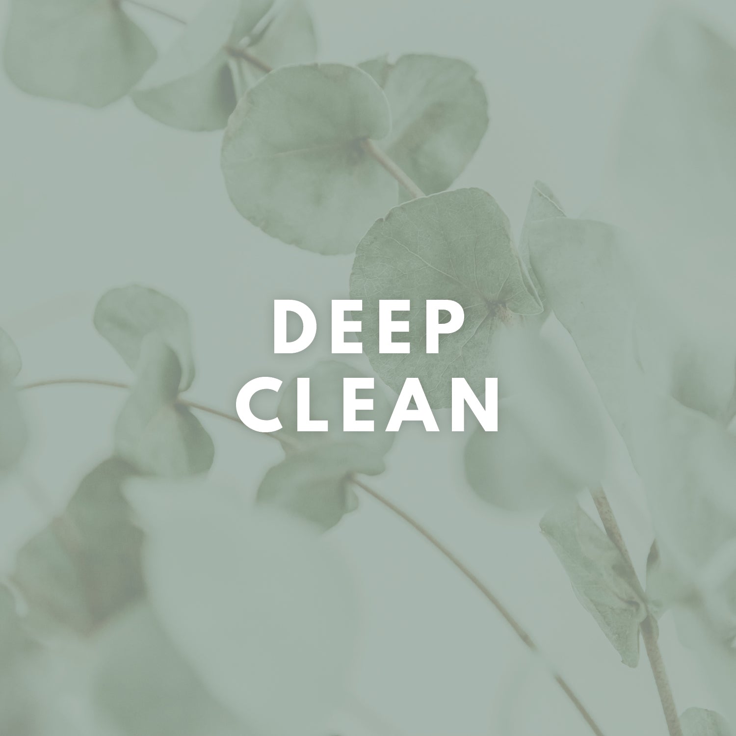 Deep Clean