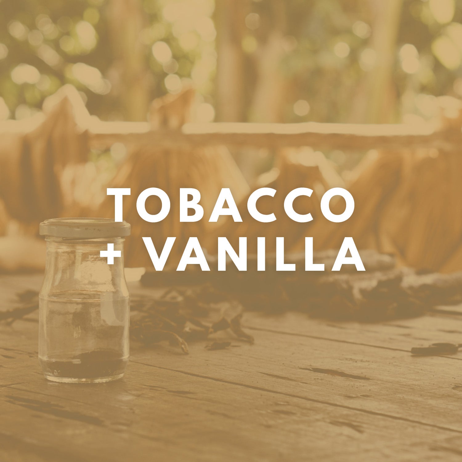 Tobacco + Vanilla